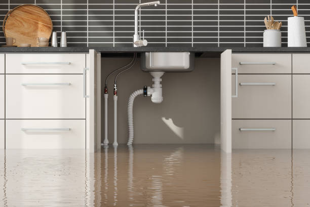 Best Mold removal after water damage  in Oak Hill, OH